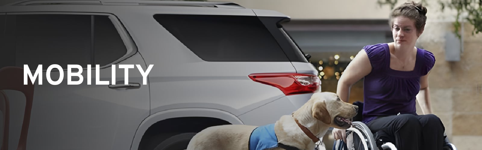 A woman in a wheelchair accompanied by a service dog near a white SUV, with text "MOBILITY" displayed.